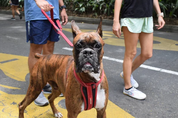 Rostros y Ciclovia medelln