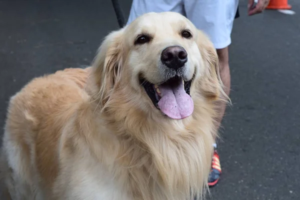 Rostros y Ciclovia medelln