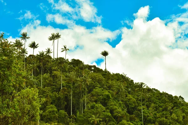 Paisaje San Felix Caldas — Foto Stock