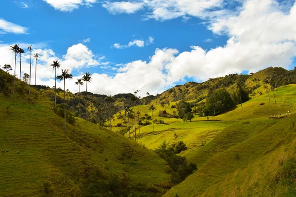 Paisaje san Felix Caldas