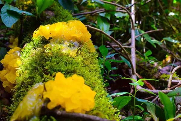 Paisaje san Felix Caldas