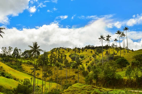Paisaje san Felix Caldas