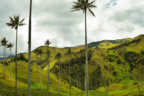 Paisaje san Felix Caldas