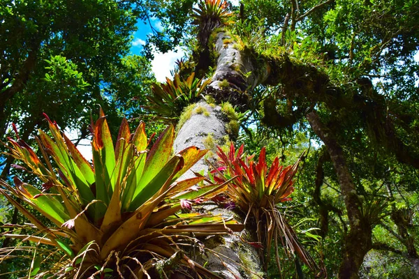 Paisaje San Felix Caldas — Stockfoto