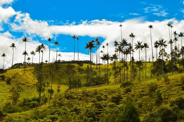Paisaje san Felix Caldas