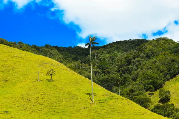 Paisaje san Felix Caldas