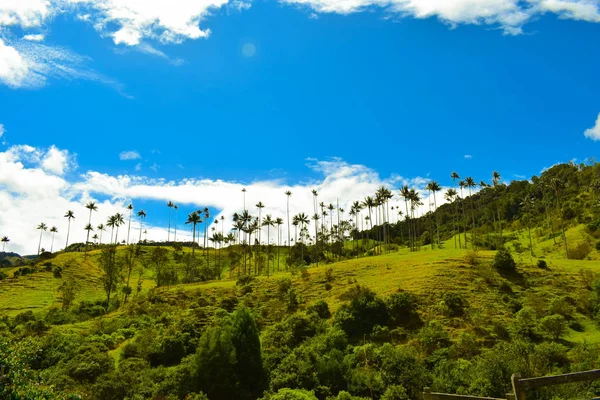 Paisaje san Felix Caldas