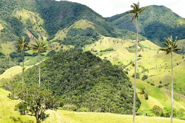 Paisaje san Felix Caldas