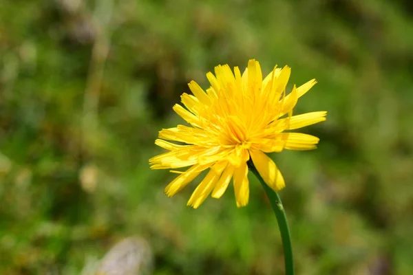 Paisaje san Felix Caldas
