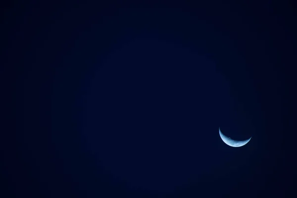 Flores amarillas ubicadas en el mirador de medellin