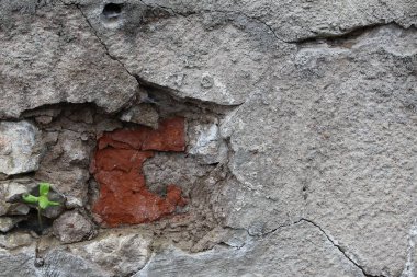 Kırmızı tuğlalı ve yeşil bitkili beton duvar dokusu