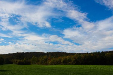Orman ve bulutlu manzara