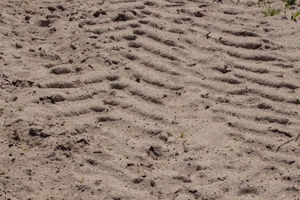 Tractorbandensporen Het Zand — Stockfoto