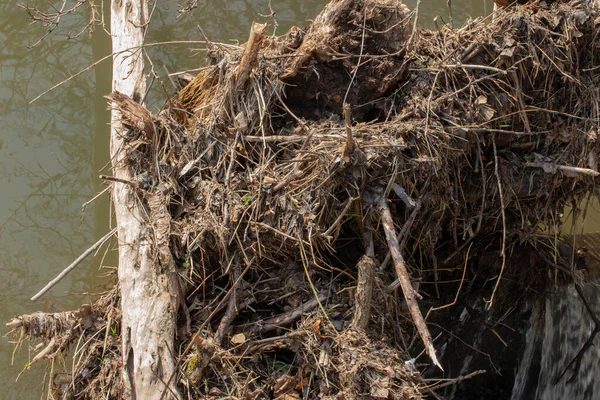 Přírodní Přehrada Větví Skal — Stock fotografie