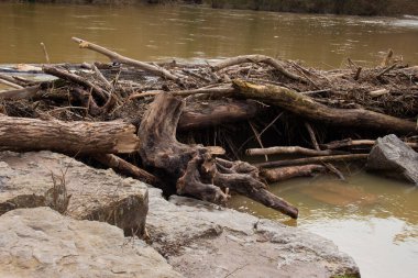 Dallardan ve kayalardan yapılmış doğal baraj.