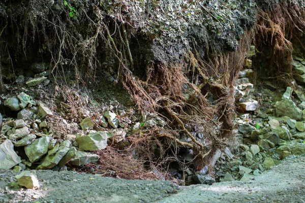 Road Damage Destroyed Blank Roots Flood — Stock Photo, Image