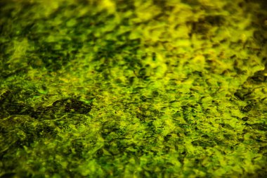 Sarı renkli soyut arkaplan, sarı rengin farklı tonlarında.