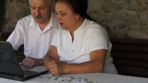 Idoso casal sênior em um banco com laptop — Vídeo de Stock