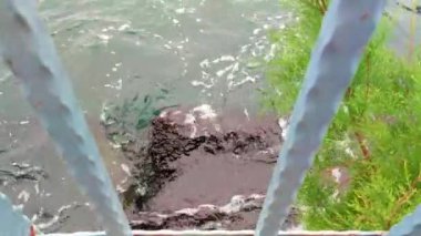 dalgalar deniz kayaya isabet kırma çökmesini sahil şeridi desteklemek. statik yakından atış