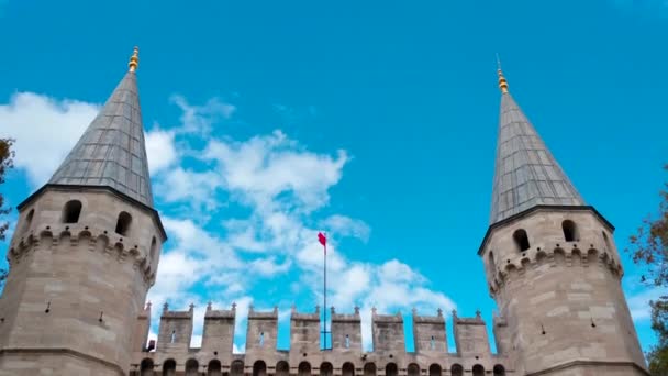 イスタンブール トルコ 2018 垂直方向のパノラマ ビデオの人々 の群衆とトプカピ宮殿 タワー ブリッジのトルコの旗への入り口 — ストック動画