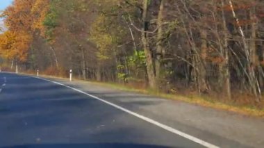 Sonbahar sonbahar sezonu kırsal kırsal arabayı. doğal canlı ağaç yaprakları sarı, yeşil, kırmızı renk, mavi gökyüzü, güneşli güzel hava. açık geniş bakış açısı görüntüleri