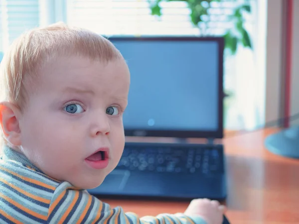 beyaz beyaz yüzündeki hayret ifadesi ile küçük çocuk çocuk çocuk hayret. kafa dizüstü bilgisayar ekranından fotoğraf makinesine döndü. Online makinesi öğrenme sürecini tasvir