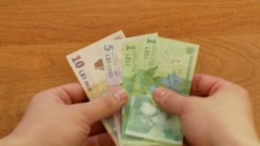 Masa üzerinde Romence lei dışarı yayılır ve Avrupa Birliği ile güçlü Romanya ticari ilişkilerin işareti olarak 50 Euro bir kenara koymak adam. closeup 4k video görüntüleri