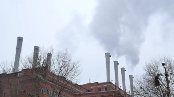 Amplio metraje de chimeneas de plantas de fábrica — Vídeos de Stock