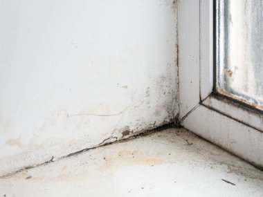 ıslak köşe küf mantarı ile pencere çerçevesi duvar çatlamış. kapalı görüntü