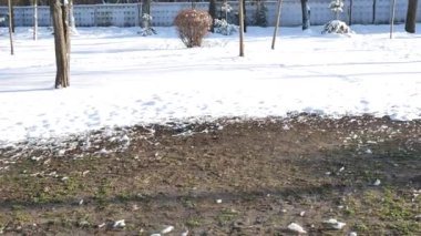 Şehir Park ana yeraltı ısıtma yatay panorama. Buhar buharlaşan ile yumurtadan. geniş 4k video görüntüleri. Kentsel yardımcı programı kavramı
