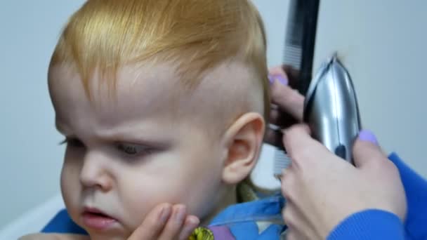 Corte Pelo Con Cortapelo Eléctrico Para Niño Años Lado Primer — Vídeos de Stock