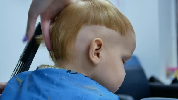 在美发沙龙的小男孩做现代发型与梳子梳子和剪刀 从后面4K 视频画面 — 图库视频影像