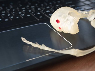 insan iskelet kafası üstünde laptop yatıyordu. uyumayın yoksa ölü ofis çalışanı çok kavramı. işyerinde bir mola