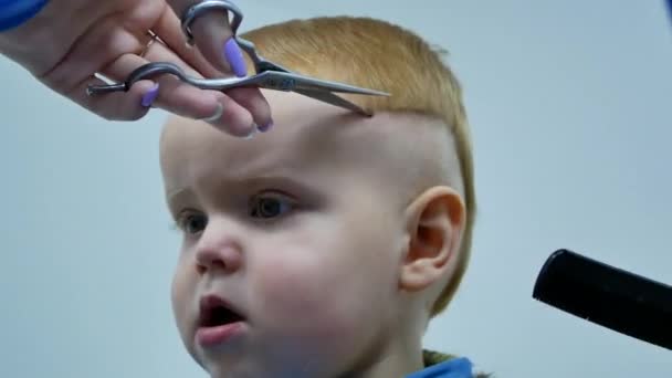 Retrato Menino Bonito Salão Haidressing Barbeiro Tentando Cortar Cabelo Com — Vídeo de Stock