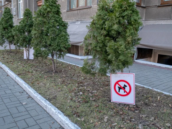 Promenade de chien interdit signe interdit sur le trottoir trottoir avec lit de fleurs et des arbres. ville scène urbaine — Photo