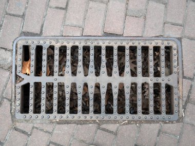 bir kaldırımda kanalizasyon drenaj sistemi closeup metalik ızgara. ambar altında düşmüş yaprakları yaprakları çok yukarıdan görünümü