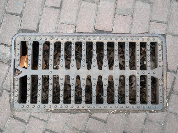 Primo piano griglia metallica del sistema di drenaggio delle acque reflue su un marciapiede. vista dall'alto con molte foglie cadute sotto il portello — Foto Stock