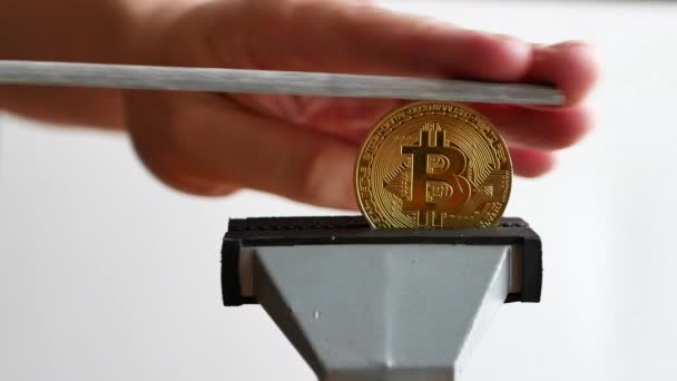 Człowiek Wyostrzyć Złoty Bitcoin Kryptowaluta Zaciśnięty Vice Pliku Kryptowaluta Podróbka — Wideo stockowe