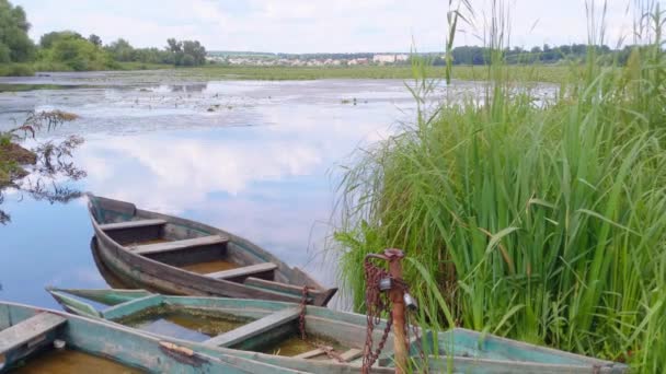 Красивий Краєвид Ставком Дерев Яні Човни Риболовлі Воді Кущ Зеленої — стокове відео