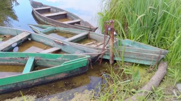 강이나 호수에 버려진 어선과 목가적 풍경의 파노라마 활동을위한 이상적인 비디오 — 비디오