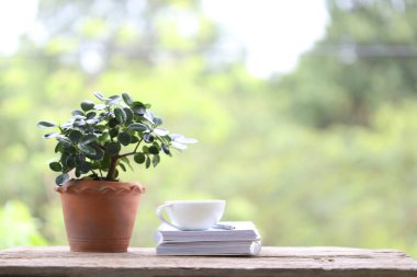 Beyaz kahve fincanı, eski kahverengi çaydanlıkta küçük bir bitki, beyaz kalın bir kitap, açık havada ahşap masa ve doğa arka planı.