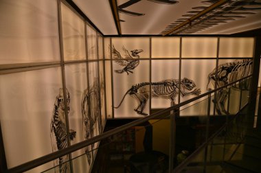 Kuala Lumpur, Malaysia - September 15, 2025: The BookXcess bookstore across multiple outlets in KL City, where books were arranged in a very modern and creative manner