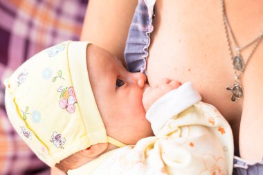 Bir bebek çocuk annesinin meme süt emer. Yakın çekim.