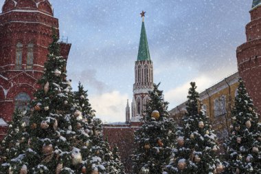 Rusya, Moskova, Kremlin, Noel ve yeni yıl. Noel resmi bir şekilde dekore edilmiş Noel ağaçları ile. Kar. Kremlin Nikolskaya Kulesi.