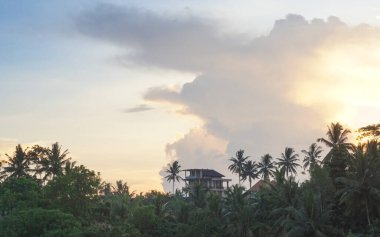 Campuhan Sırtı etrafında güzel bir sabah Ubud, Bali, Endonezya 'da yürüyüş.
