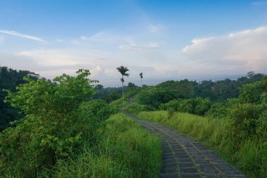 Campuhan Sırtı etrafında güzel bir sabah Ubud, Bali, Endonezya 'da yürüyüş.