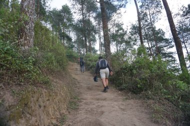 Magelang, Endonezya - 17 Temmuz 2019: Andong Dağı 'nın zirvesine tırmanma rotası boyunca görüntüler.