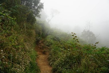 Magelang, Endonezya - 17 Temmuz 2019: Andong Dağı 'nın zirvesine tırmanma rotası boyunca görüntüler.