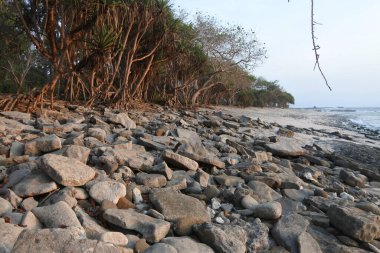 Öğleden sonra Endonezya 'nın başkenti Papuma sahilinde güzel bir manzara..