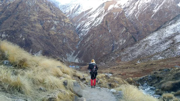 Путешествие Женщины Маршруту Похода Базовый Лагерь Аннапурны Непале Стоковое Изображение